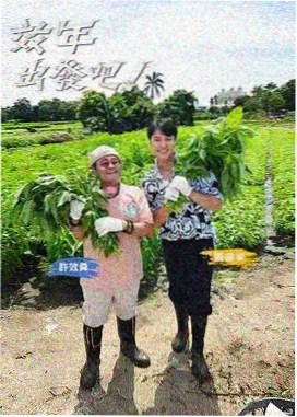 向往的生活 红叶影院