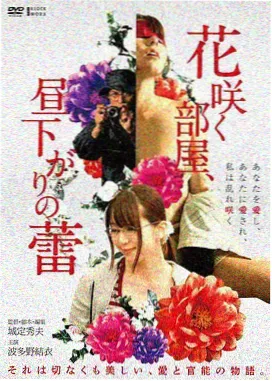 盗梦空间 红叶影院